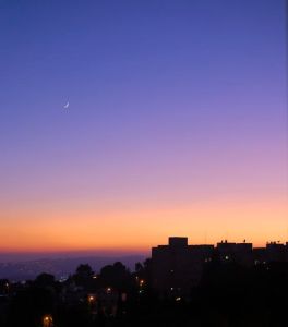 One of 100 Sunsets, Amy Barnett