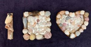 Shellebration 100 FWC, Joyce Driscoll