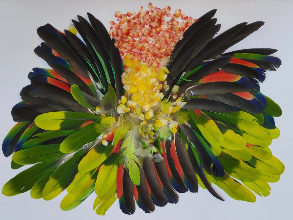 Ms. Lola’s Plumage, Margaret Steiner