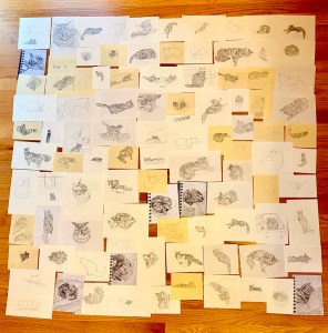 100 Ways of Looking at Zerlina, Robin Richstone