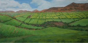 Fields of Ireland, Angie Nagle Miller