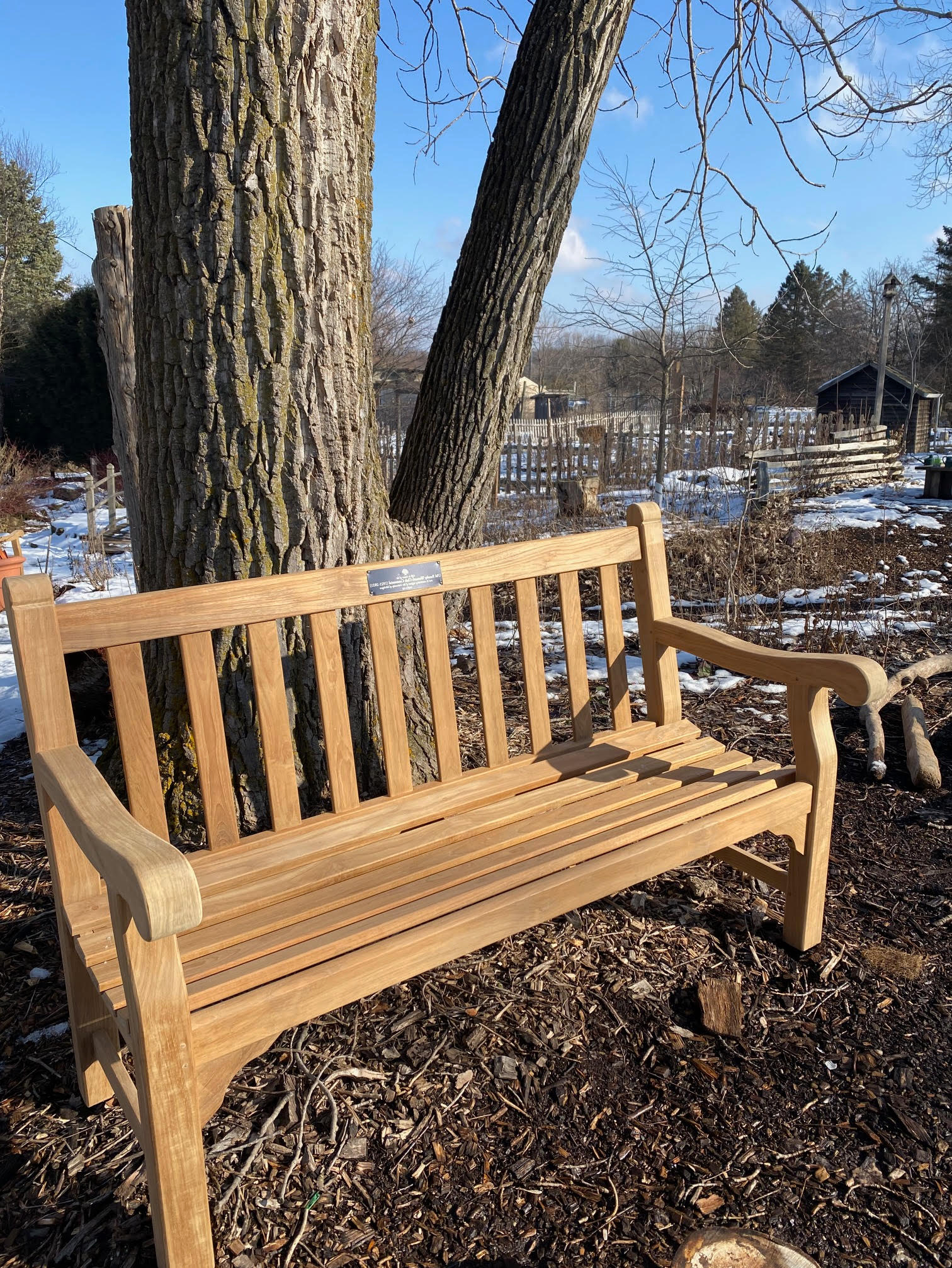 FWC dedicated UM gift